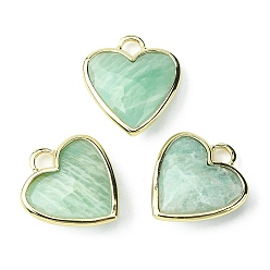 Amazonite Natural Amazonite Pendants, Faceted Heart Charms, with Rack Plating Light Gold Plated Brass Edge, 23x20x7mm, Hole: 4x4mm