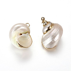 Golden Electroplate Spiral Shell Pendants, with Iron Findings, Conch, Golden, 24~31x18~24x15~16mm, Hole: 2mm