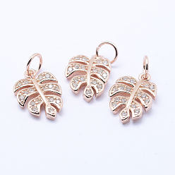 Rose Gold Brass Micro Pave Cubic Zirconia Charms, Tropical Leaf Charms, Monstera Leaf, Lead Free & Nickel Free & Cadmium Free, Rose Gold, 14x9.5x2mm, Hole: 3mm
