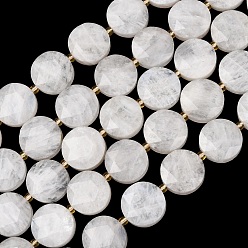 Rainbow Moonstone Бусины из натурального радужного лунного камня, плоско-круглые, граненый шестиугольный разрез, с бисером, 15~15.5x5 мм, отверстие : 1.2 мм, около 22 шт / нитка, 14.96'' (38 см)