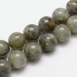 Labradorite Natural Labradorite Bead Strands, Round, 8mm, Hole: 1mm, about 49pcs/strand, 15.4 inch