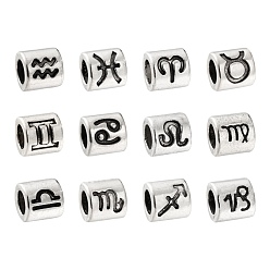 Constellation 120Pcs 12 Style Alloy European Beads, Large Hole Beads, Column, Antique Silver, 12 Constellations, 7.5x7mm, Hole: 4.5mm, 10pcs/style