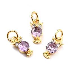 Фиолетовый Латунные микро проложить кубического циркония прелести, реальный 18 k позолоченный, без кадмия и без свинца, сова, фиолетовые, 11x6x3 мм, отверстие : 3.8 мм