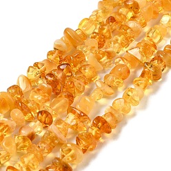 Amber Natural Amber Chip Beads Strands, 5~8x5~8mm, Hole: 0.8mm, 16.14 inch(41cm)