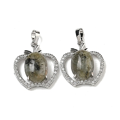 Лабрадорита Натуральный лабрадорит с подвесками из прозрачного кубического циркония, подвески в виде яблока со стойкой, фурнитура из латуни, платина, без кадмия и без свинца, 28.5x25.5x9~10 мм, отверстие : 7x5 мм