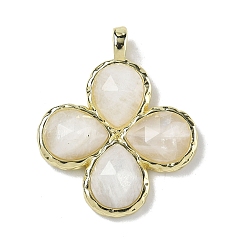 Лунный Камень Подвески из натурального лунного камня с огранкой, Подвески в виде клевера с латунными застежками с гальваническим покрытием., золотые, 30~31x25.5x5.5~6 мм, отверстие : 4x3 мм