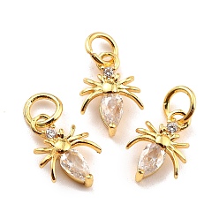 Прозрачный Латунные микро проложить кубического циркония прелести, реальный 18 k позолоченный, без кадмия и без свинца, насекомое, прозрачные, 12x8x2 мм, отверстие : 3.8 мм
