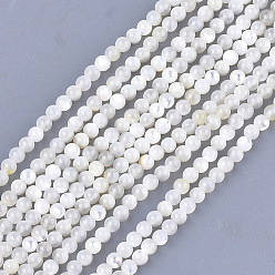 Creamy White Natural White Shell Beads, Mother of Pearl Shell Beads Strands, Round, Ivory, 3mm, Hole: 0.8mm, about 121pcs/strand, 14.9 inch