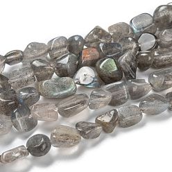 Labradorite Natural Labradorite Beads Strands, Nuggets, Tumbled Stone, 5~8.5x5.5~7x3.5~4mm, Hole: 0.7mm, about 64pcs/strand, 16.34''(41.5cm)