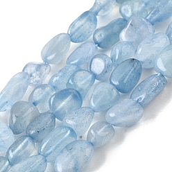 Аквамарин Природные Аквамарин бисер нитей, самородки, 6~8x6~8x3.5~7 мм, отверстие : 0.7 мм, около 45~48 шт / нитка, 15.75'' (40 см)