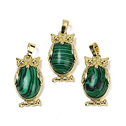 Малахит Синтетический малахитовый кулон, с латунной фурнитурой , без свинца и без кадмия, долговечный, сова, 28.5x15.5x7 мм, отверстие : 5x8 мм