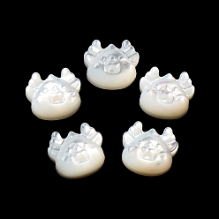 Floral White Natural White Shell, Freshwater Shell, Cattle, Floral White, 9.5x10.5x4.5mm, Hole: 1mm