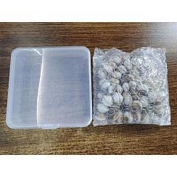 Bois Solide Pandahall elite 5 brins perles de coquillage naturel brins, demi-tour, burlywood, 8~20x8~20x3~7mm, Trou: 1mm, Environ 28~54 pcs/chapelet, 6.69 pouces ~ 7.09 pouces (17~18 cm)
