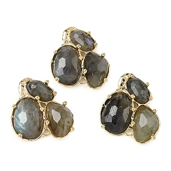 Лабрадорита Соединители из натурального лабрадорита, с латунной фурнитурой , граненые, золотые, 30.5~31x33x5 мм, отверстие : 1.8 мм