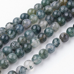 Moss Agate Natural Moss Agate Bead Strands, Round, 6~6.5mm, Hole: 1mm, about 60pcs/strand, 14.9 inch(38cm)