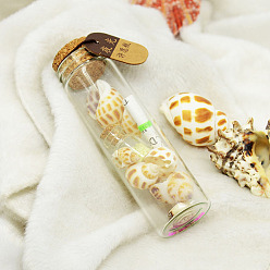 Floral White Glass Wishing Bottles, with Shell, Noctilucent powder and Wishing Paper Inside, Floral White, 105x29mm