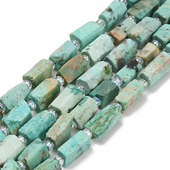 Peruvian Turquoise(Jasper) Бусы натуральная перуанская бирюза (яшма), колонка, граненые, с бисером, 9~10x4.5~5.5x4.5~5.5 мм, отверстие : 1.1 мм, около 36 шт / нитка, 15.94'' (40.5 см)