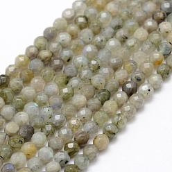 Labradorite Natural Labradorite Beads Strands, Round, Faceted, 4mm, Hole: 1mm, about 107pcs/strand, 15.1 inch(38.5cm)