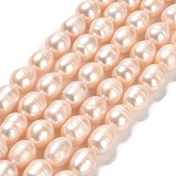 PeachPuff Natural Cultured Freshwater Pearl Beads Strands, Rice, Grade AB, PeachPuff, 10x8~9mm, Hole: 0.9mm, about 34~36pcs/strand, 13.58''(34.5cm)