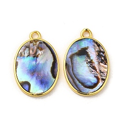 Golden Natural Paua Shell Pendants, Oval Charms with Brass Findings, Golden, 23x15x2.5mm, Hole: 1.8mm