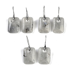 Лабрадорита Натуральный лабрадорита болтаться серьги, с латунными крючками для сережек, без кадмия и без свинца, прямоугольные, 43.5x18 мм