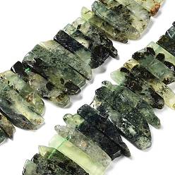 Prehnite Natural Prehnite Beads Strands, Top Drilled Beads, Rectangle, 24~62x8~14x4~9mm, Hole: 1.8mm, about 34~39pcs/strand, 15.04''~15.51''(38.2~39.4cm)