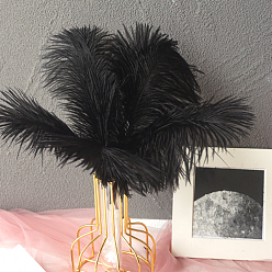 Black Ostrich Feather Ornament Accessories, for DIY Costume, Hair Accessories, Backdrop Craft, Black, 200~250mm