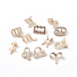 Light Gold 12Pcs 12 Style Alloy Charms Set, Twelve Constellations Charm, Light Gold, 11~15x8.5~13.5x2.5~6mm, Hole: 2mm, 1pc/style