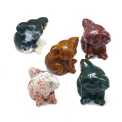 Other Jade Natural Jade Sculpture Display Decorations, for Home Office Desk, Koala, 24~27x26~30.5x29~30mm