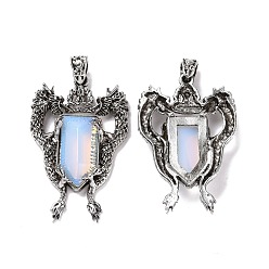 Опал Опалитовые граненые большие подвески, прелести дракона, со сплавочной фурнитурой античного серебряного тона, 52x33x8 мм, отверстие : 6x4 мм