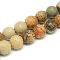 Picture Jasper Natural Picture Jasper Bead Strands, Round, 6mm, Hole: 1mm, about 63pcs/strand, 15.55 inch