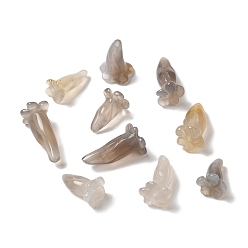 Серый агат Природного серого агата бисера, цветок, 16~18.5x11~13 мм, отверстие : 1~1.2 мм