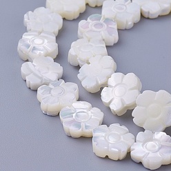 Other Sea Shell Shell Beads Strands, Flower, 11~11.7x3~4.5mm, Hole: 0.7mm, about 37pcs/strand, 16.14 inch(41cm)