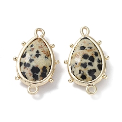 Dalmatian Jasper Natural Dalmatian Jasper Connector Charms, with Golden Plated Brass Edge Loops, Faceted, Teardrop, 24x14.5x5mm, Hole: 1.2mm & 1.4mm