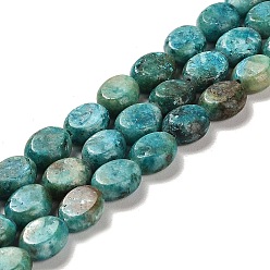 Light Sea Green Natural Dolomite Beads Strands, Dyed, Flat Oval, Light Sea Green, 9.5~10x7.5~8x4.5mm, Hole: 1.2mm, about 42~44pcs/strand, 15.35~15.94 inch(39~40.5cm)