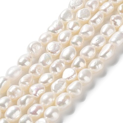 Seashell Color Natural Cultured Freshwater Pearl Beads Strands, Two Side Polished, Grade 6A, Seashell Color, 7~8x7~8x6~7mm, Hole: 0.6mm, about 41~42pcs/strand, 13.78''(35~35.5cm)