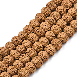 Camel Undyed Natural Rudraksha Beads, Lead Free, Round, Camel, 9~10x7~8mm, Hole: 1mm, about 122pcs/strand, 17.72 inch(45cm)