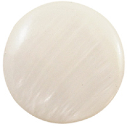 White Natural Sea Shell Beads, Irregular, White, 14~23x18~20mm, Hole: 1mm, 22pcs/strand, 16 inch/strand