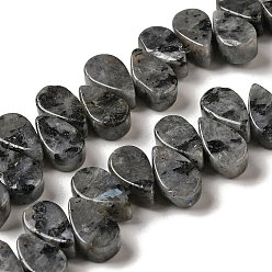 Larvikite Brins de perles de larvikite naturelles, larme, top foré, 9~10x5~5.5x3.5~4mm, Trou: 0.7mm, Environ 40~48 pcs/chapelet, 7.09~7.28'' (18~18.5 cm).