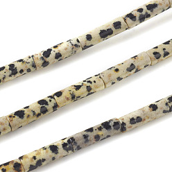Dalmatian Jasper Natural Dalmatian Jasper Beads Strands, Column, 13~14x4mm, Hole: 1mm, about 30pcs/strand, 15.9 inch(40.5cm)