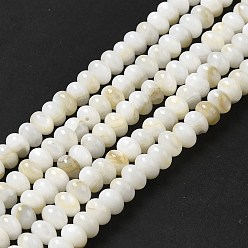 Beige Natural Freshwater Shell Beads Strands, Rondelle, Beige, 6x4mm, Hole: 0.9mm, about 97pcs/strand, 15.31~15.39''(38.9~39.1cm)