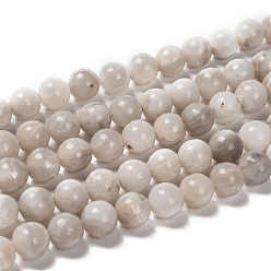 Белый Натуральные белые сумасшедшие кружевные агатовые бусины, круглые, белые, 8 мм, отверстие : 1 мм, около 44 шт / нитка, 14.9 дюйм ~ 15.1 дюйм