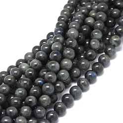 Larvikite Natural Larvikite Beads Strands, Round, 10~10.5mm, Hole: 1mm, about 39pcs/strand, 15.55 inch(39.5cm)
