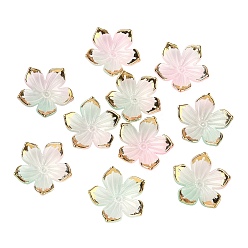 Бледно-Зеленый Непрозрачные акриловые колпачки шарик, цветок, с золотым краем, бледно-зеленый, 22.5~23x23.5~24x5 мм, отверстие : 1.4 мм, Около 1020 шт / 500 г