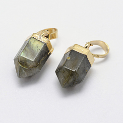 Labradorite Natural Labradorite Pointed Charms, with Brass Findings, Long-Lasting Plated, Bullet, Golden, 15x6~6.5mm, Hole: 3.5x6mm