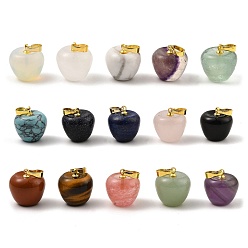 Mixed Stone Natural & Synthetic Mixed Gemstone Teacher Apple Charms, with Golden Plated Brass Snap on Bails, Mixed Dyed and Undyed, 14.5x14mm, Hole: 6.5x4mm
