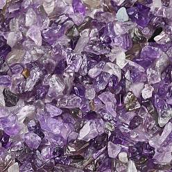 Аметист Природный аметист бисер чип, нет отверстий / незавершенного, 3~9x1~4 мм