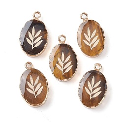 Tiger Eye Natural Tiger Eye Oval Pendants, Golden Plated Brass Oval Charms with Leaf, 22~22.5x13~13.5x4.5mm, Hole: 1.6~1.8mm