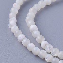 Other Sea Shell Shell Beads Strands, Round, 3~3.2mm, Hole: 0.5mm, about 130pcs/strand, 14.96 inch(38cm)