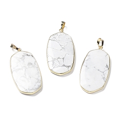 Howlite Natural Howlite Pendants, with Rack Plating Light Gold Tone Brass Findings, Cadmium Free & Lead Free, Oval Charms, 48x22x4.5mm, Hole: 8x5mm